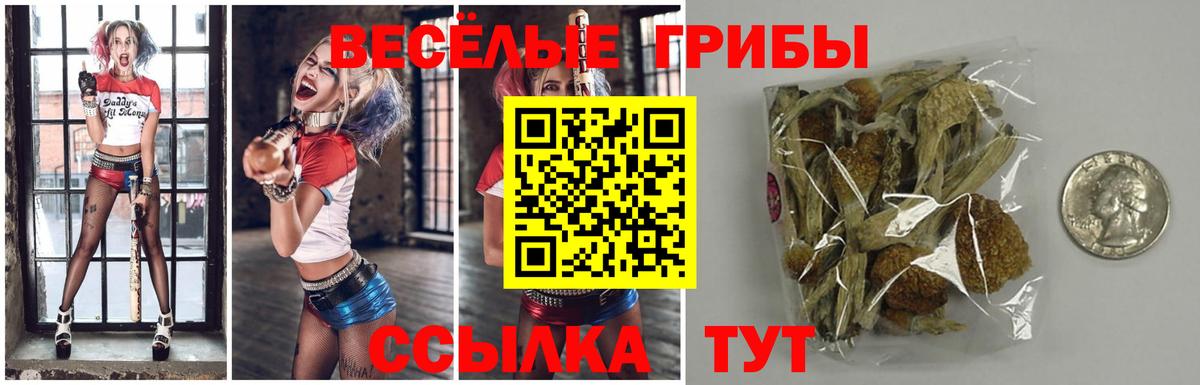 Псилоцибиновые грибы Magic Shrooms  Галлюциногенные грибы GOLDEN TEACHER  Добрянка  Вход с VPN 